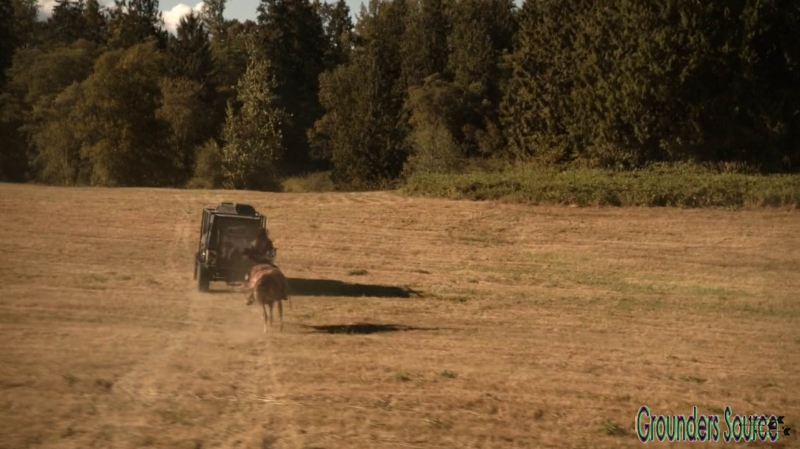 The 100 Wanheda Part One Season Three-1732
