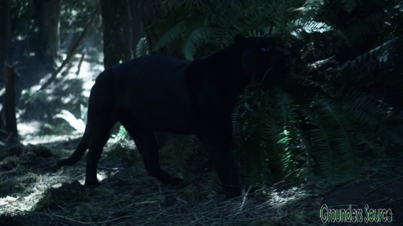 The 100 Wanheda Part One Season Three-1377
