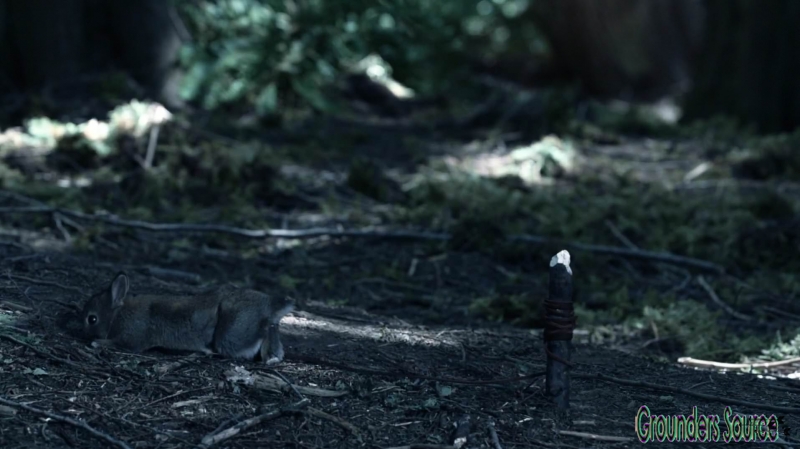 The 100 Wanheda Part One Season Three-1374
