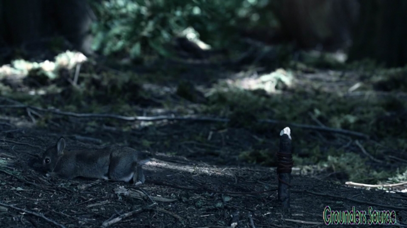 The 100 Wanheda Part One Season Three-1372
