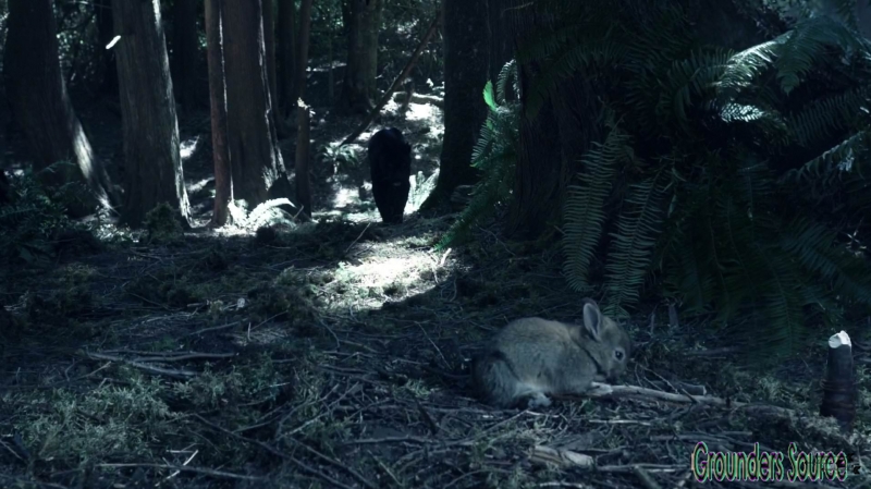 The 100 Wanheda Part One Season Three-1368
