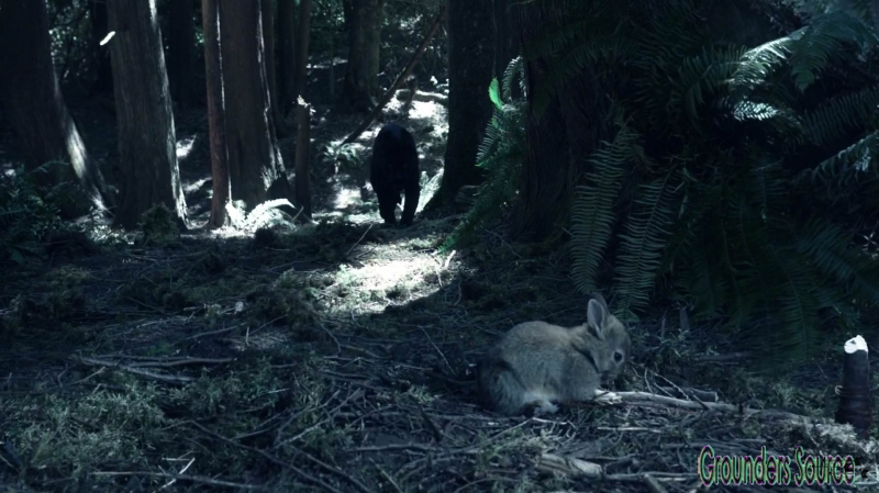 The 100 Wanheda Part One Season Three-1367
