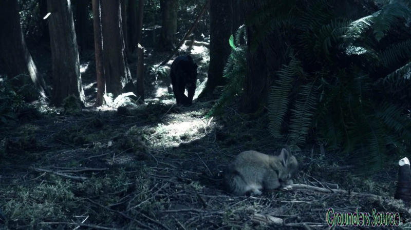 The 100 Wanheda Part One Season Three-1366
