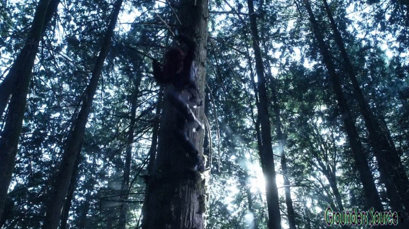 The 100 Wanheda Part One Season Three-1360
