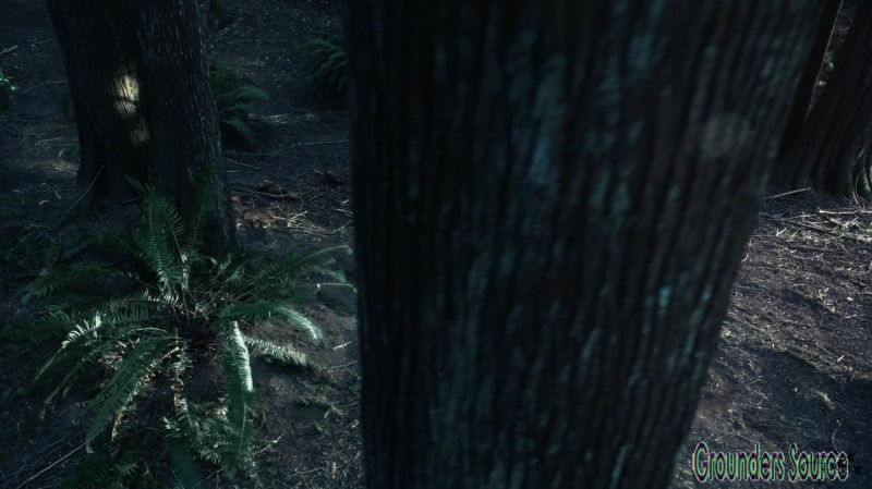 The 100 Wanheda Part One Season Three-1344
