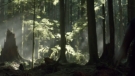 the100301_0193.jpg