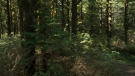 the100301_0684.jpg
