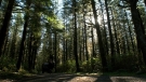 the100301_0725.jpg