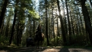 the100301_0726.jpg