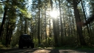 the100301_0727.jpg