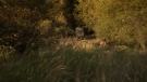 the100301_0769.jpg