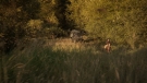 the100301_0770.jpg