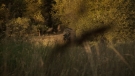 the100301_0771.jpg