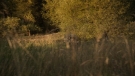 the100301_0772.jpg
