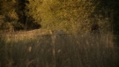 the100301_0773.jpg