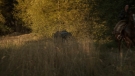 the100301_0774.jpg