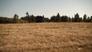 the100301_0862.jpg
