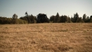 the100301_0863.jpg