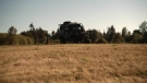 the100301_0864.jpg