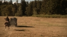 the100301_0866.jpg