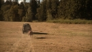 the100301_0867.jpg