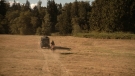 the100301_0868.jpg