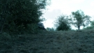 the100301_0985.jpg