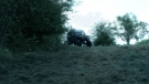 the100301_0987.jpg