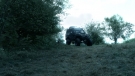 the100301_0988.jpg