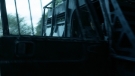 the100301_0998.jpg