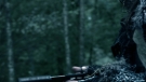 the100301_1115.jpg