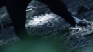 the100301_1229.jpg