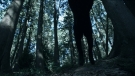 the100301_1249.jpg