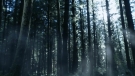 the100301_1250.jpg