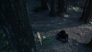 the100301_1251.jpg