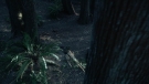 the100301_1255.jpg
