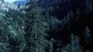 the100301_1284.jpg