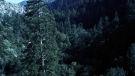 the100301_1285.jpg