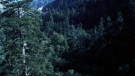 the100301_1286.jpg
