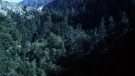 the100301_1287.jpg