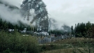 the100301_1357.jpg