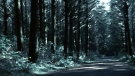 the100301_1416.jpg