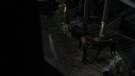 the100301_2010.jpg