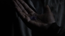 the100301_2121.jpg