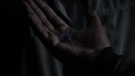 the100301_2133.jpg
