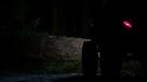 the100301_2522.jpg