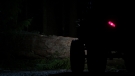 the100301_2523.jpg