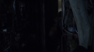 the100301_2568.jpg