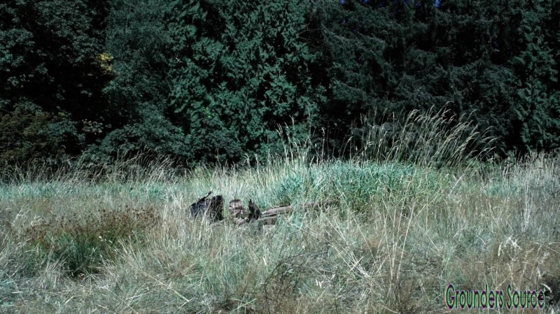 The Wanheda Part Two Season Three Episode Two-1859
