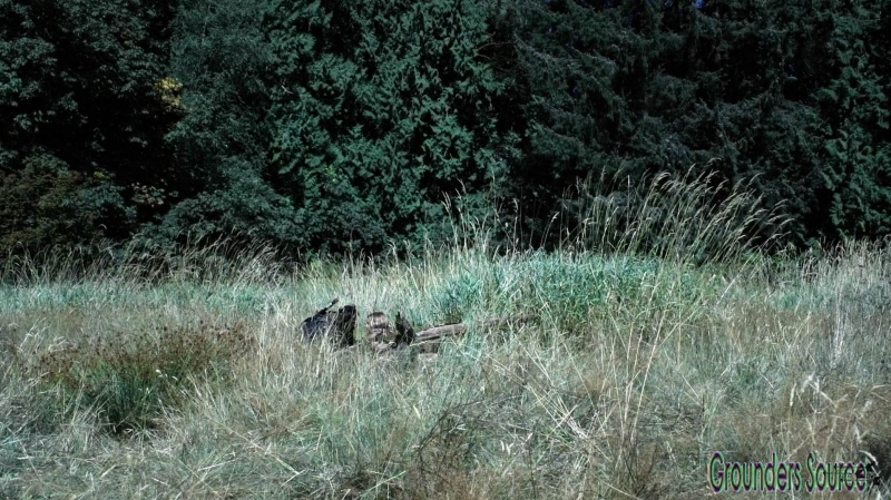 The Wanheda Part Two Season Three Episode Two-1858
